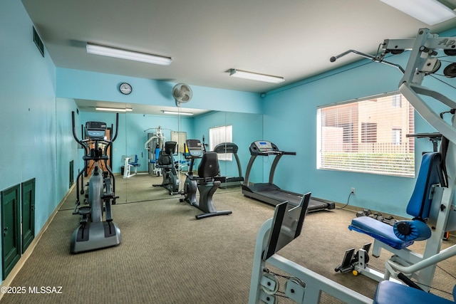 workout area featuring carpet flooring