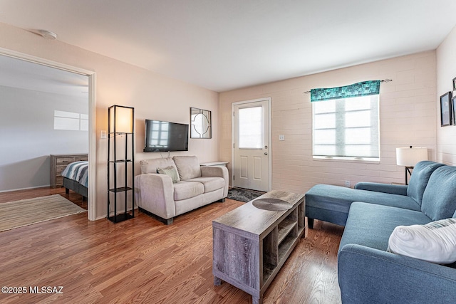 living room with hardwood / wood-style flooring