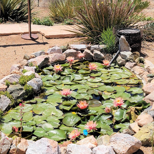 exterior details featuring a small pond