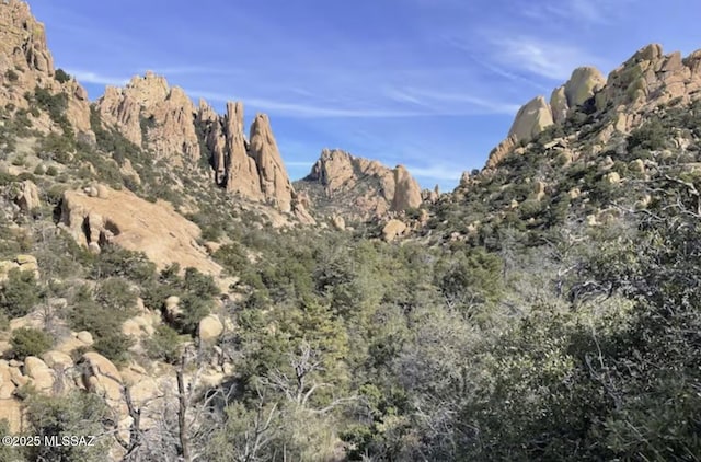 view of mountain feature