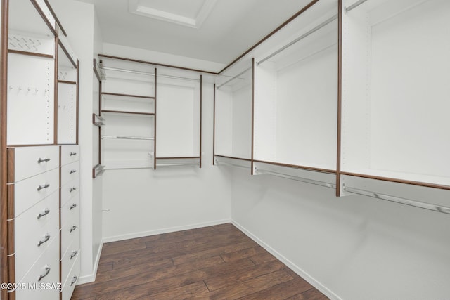 walk in closet featuring dark hardwood / wood-style floors