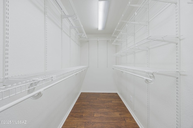 walk in closet featuring dark wood-type flooring