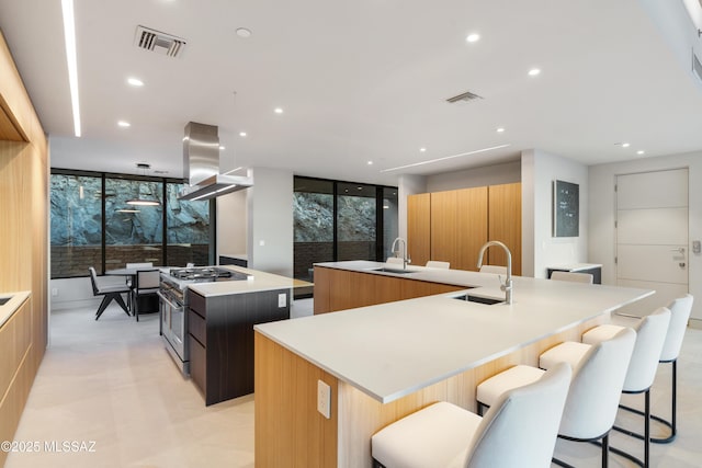 kitchen featuring a spacious island, island exhaust hood, a wall of windows, and high end stainless steel range oven