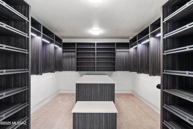 spacious closet featuring light colored carpet