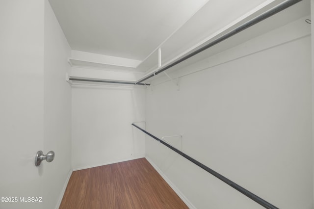 spacious closet featuring hardwood / wood-style flooring