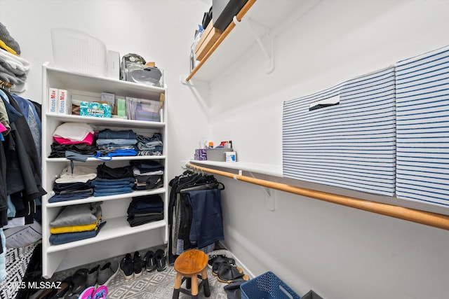 view of spacious closet