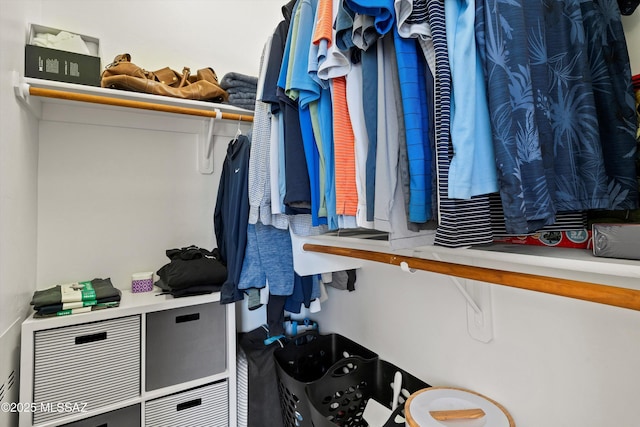 view of spacious closet