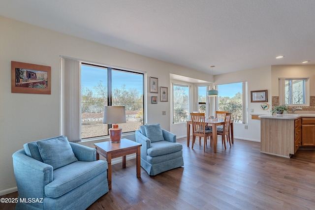 living area featuring dark hardwood / wood-style flooring and a textured ceiling