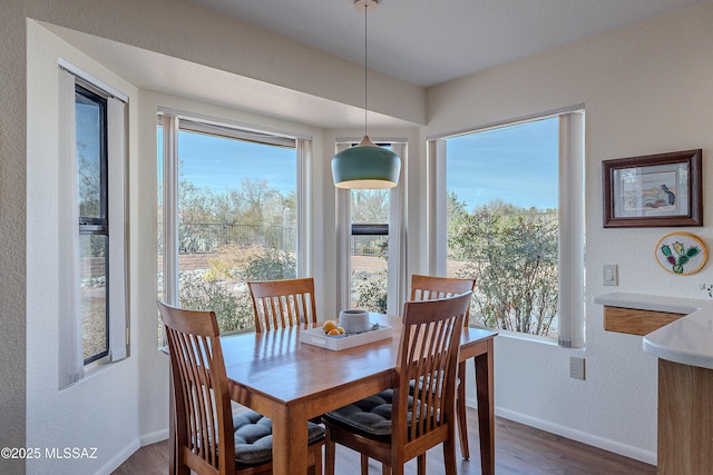 dining room featuring dark hardwood / wood-style floors