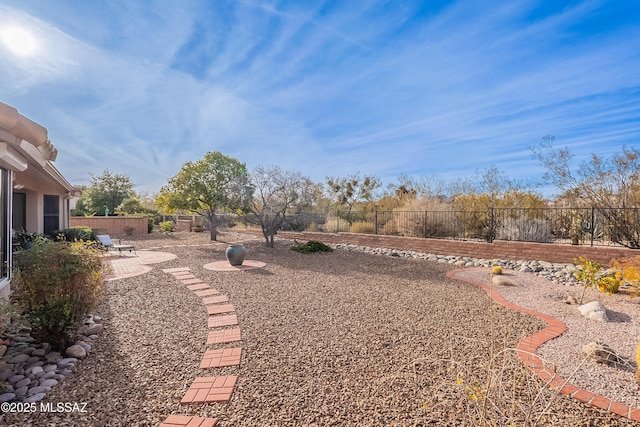 view of yard with a patio area