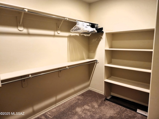 spacious closet with dark colored carpet