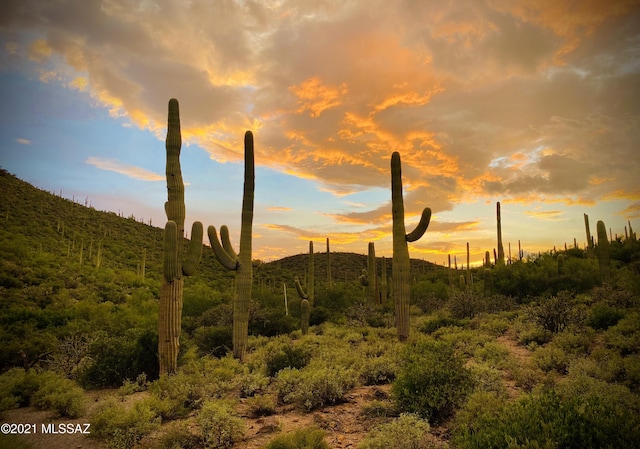 870 N Canyon Moonlight Pl Unit 2, Tucson AZ, 85745 land for sale