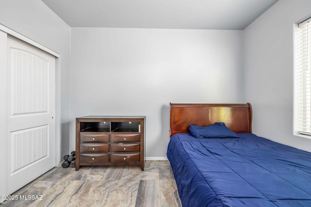 bedroom with multiple windows, a closet, and light hardwood / wood-style flooring