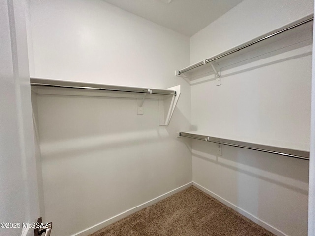 spacious closet with carpet floors
