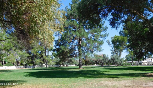 view of home's community with a lawn