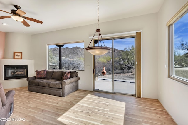 living room featuring ceiling fan and light hardwood / wood-style flooring