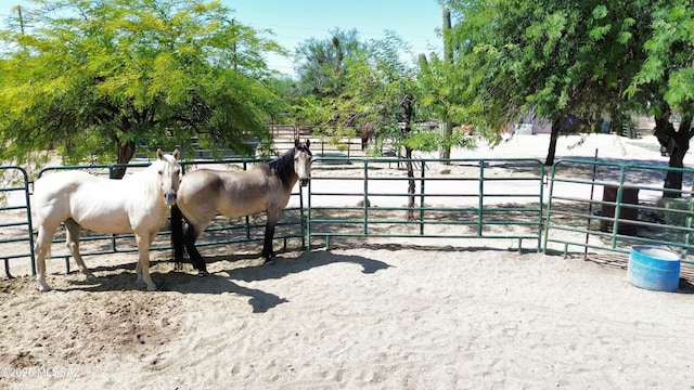 view of horse barn