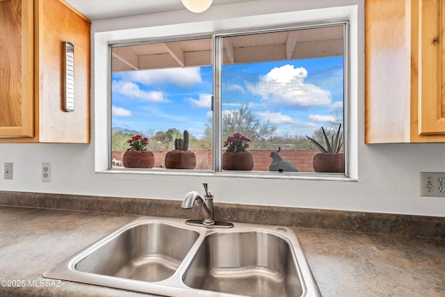 kitchen featuring sink