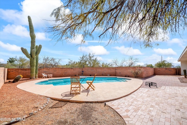 view of swimming pool featuring a patio