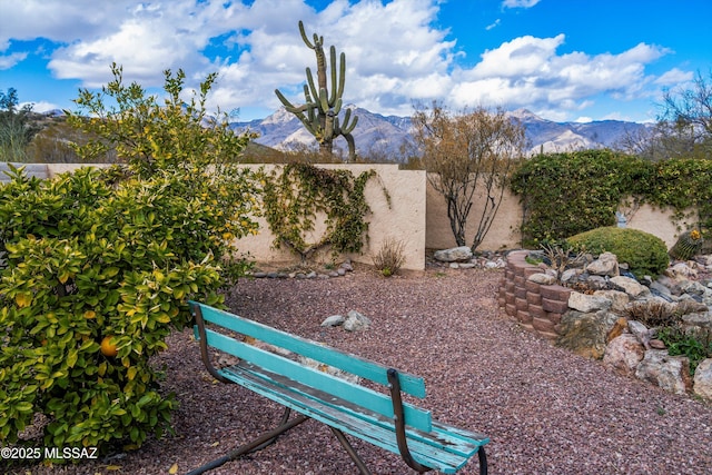 view of yard featuring a mountain view and a fenced backyard