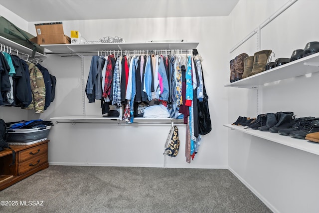 spacious closet featuring carpet