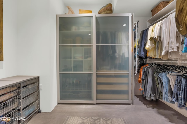 view of spacious closet