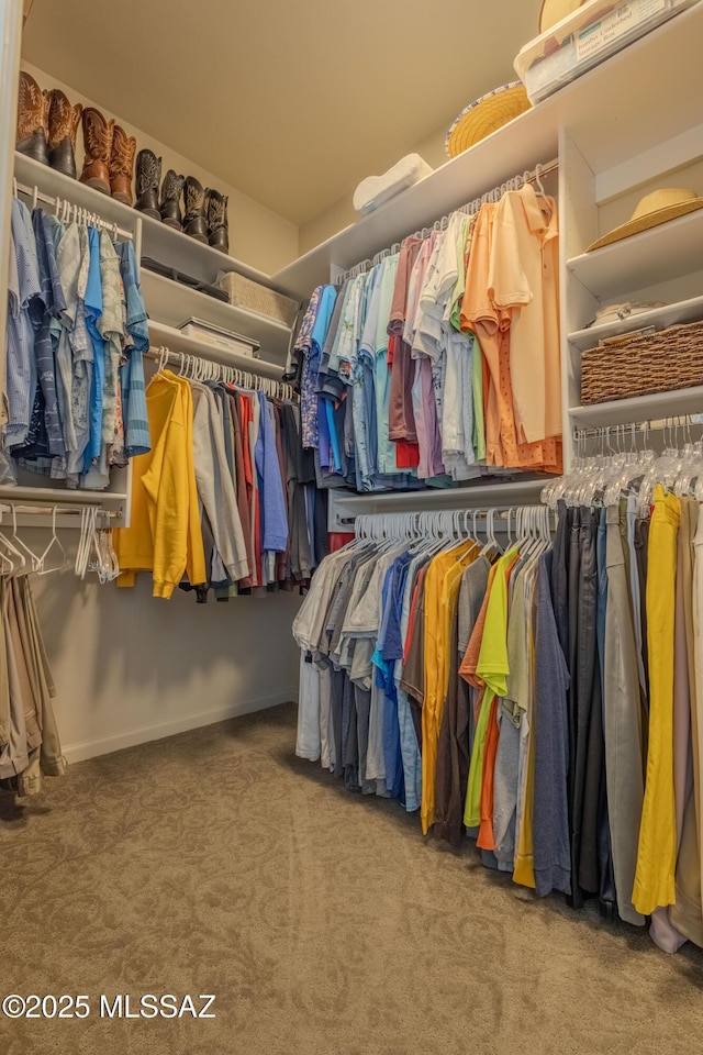 walk in closet featuring carpet