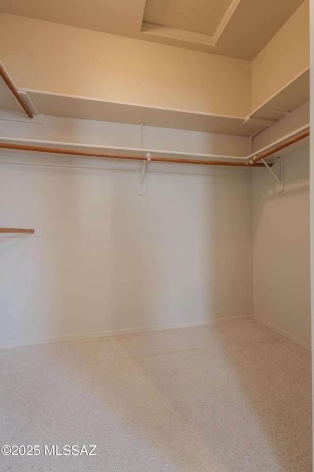 spacious closet featuring carpet
