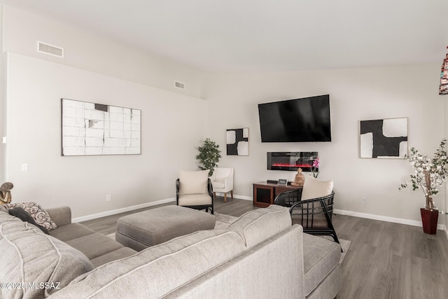 living room featuring wood-type flooring