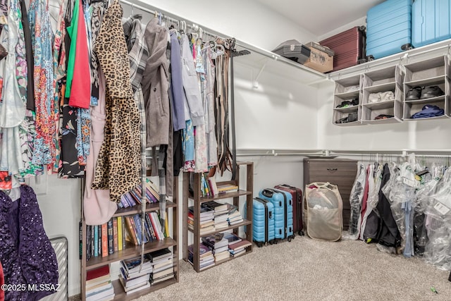 walk in closet with carpet