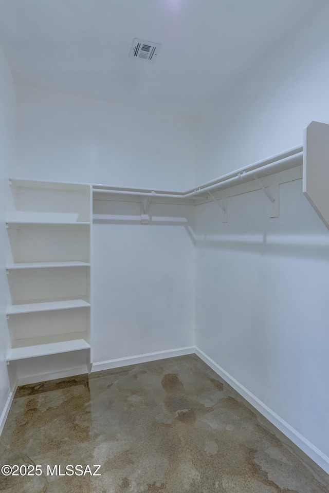 spacious closet with light carpet