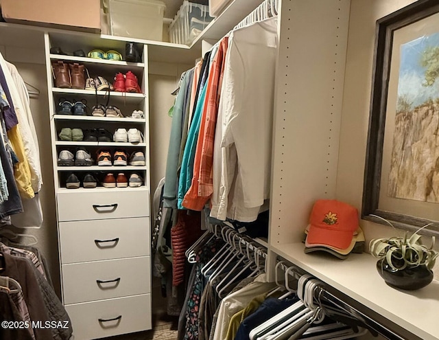 view of spacious closet