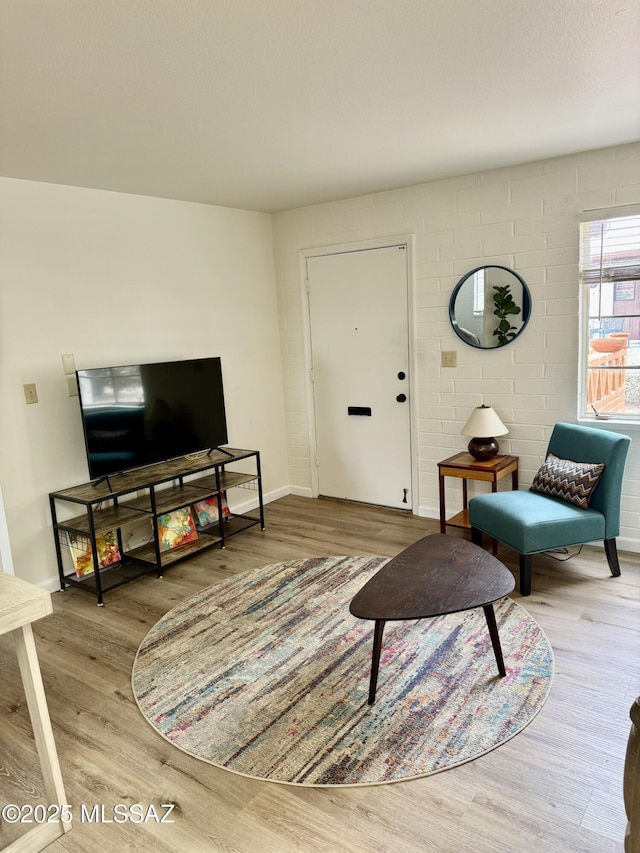 living room with wood-type flooring