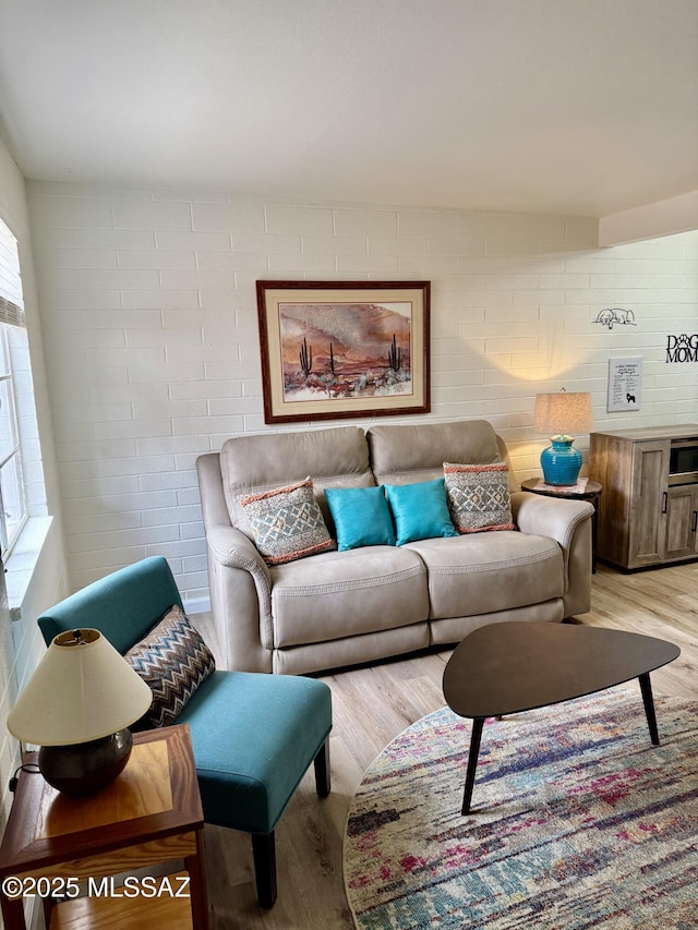 living room featuring wood finished floors