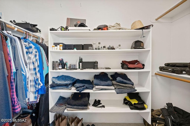 view of spacious closet