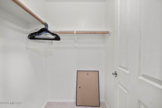 spacious closet featuring light colored carpet