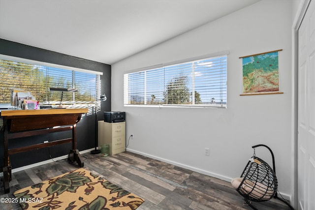 interior space featuring a healthy amount of sunlight, lofted ceiling, and dark hardwood / wood-style flooring