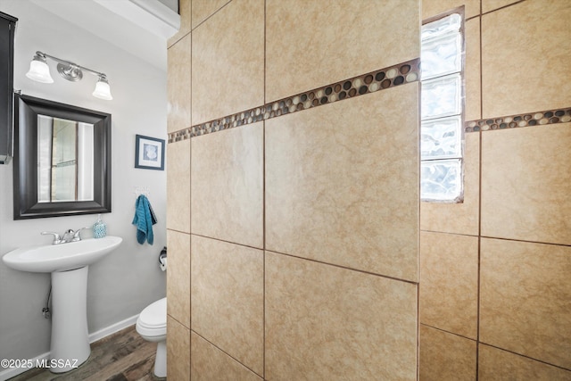 bathroom with wood-type flooring, toilet, and sink