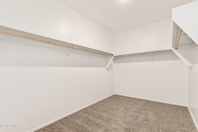 spacious closet with carpet flooring