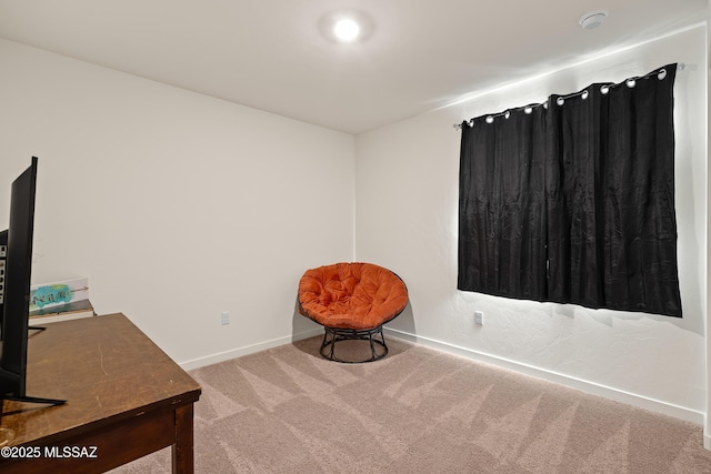 sitting room with carpet flooring