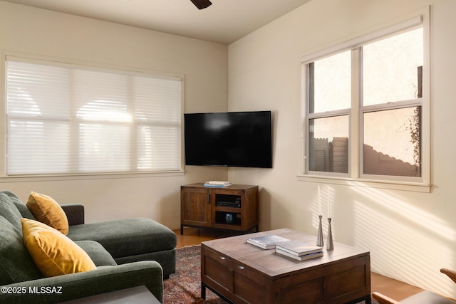 living room featuring ceiling fan