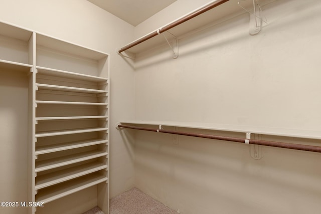 view of spacious closet