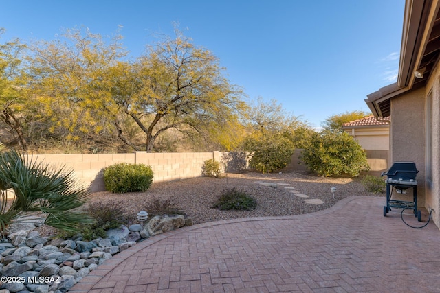 view of patio / terrace featuring area for grilling