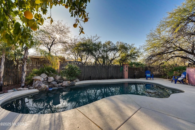 view of pool featuring a patio