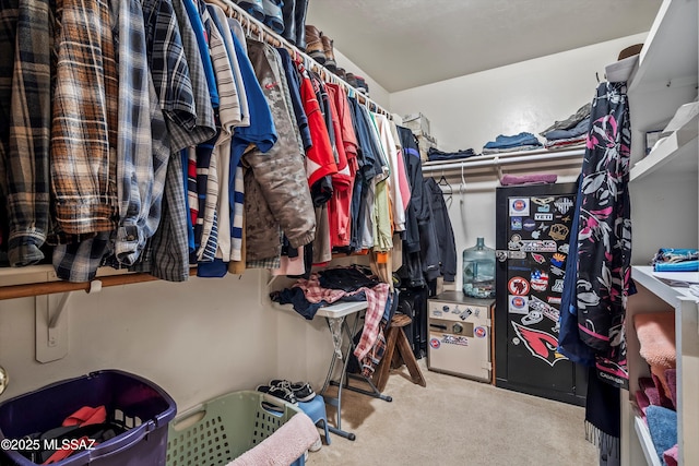 spacious closet featuring carpet floors