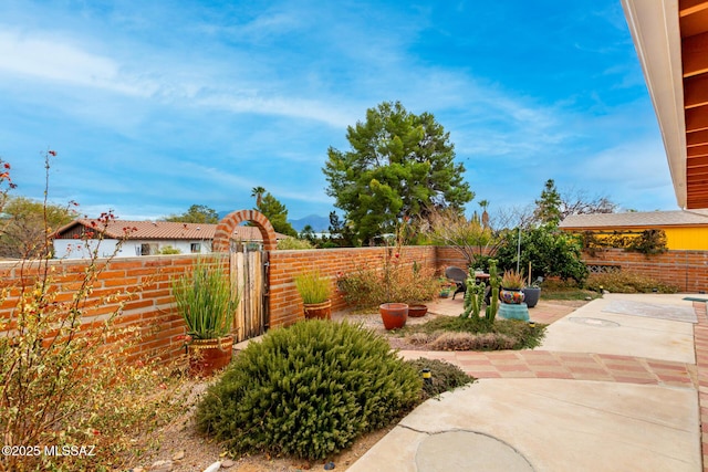 view of yard with a patio area