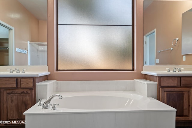 bathroom with vanity and a bathing tub