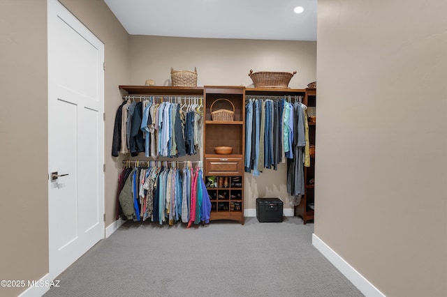 spacious closet featuring carpet flooring