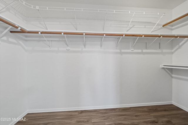 walk in closet featuring dark hardwood / wood-style floors