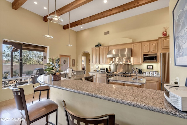 kitchen with sink, stainless steel appliances, light stone countertops, wall chimney exhaust hood, and light brown cabinets